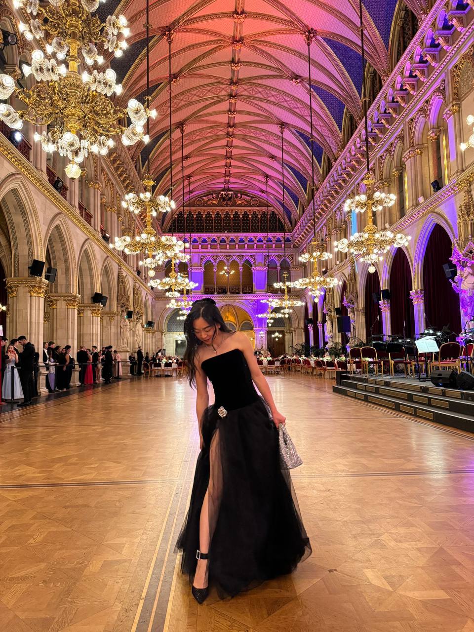 Vienna Nights Dress 2