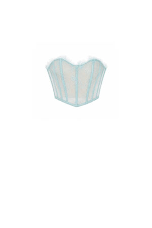 French lace over nude corsetry mesh Blue